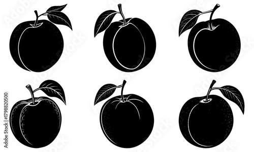 Six monochrome plums with leaves in a grid pattern showcasing different perspectives and styles of illustration