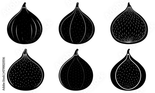 Collection of six black and white fig illustrations showing different fig cross sections and views