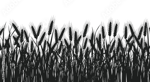 A detailed black and white silhouette illustration of a wheat field with mature grain stalks reaching towards the sky, suitable for agricultural and food-related designs.