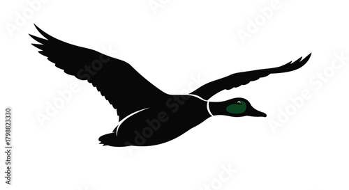 A sleek illustration portrays a dark-bodied duck with a bright green head and a white neckband soaring on outstretched wings.
