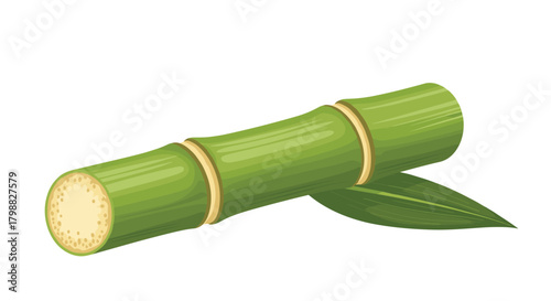 A fresh green sugarcane stalk with a visible cross-section and a vibrant leaf, symbolizing natural sweetness and tropical agriculture.