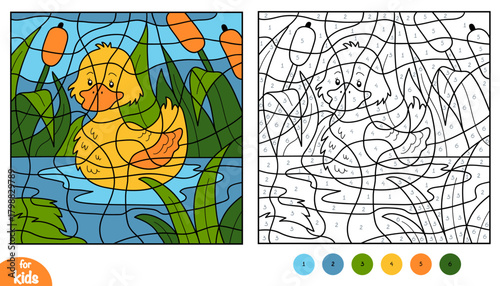 Cute duck on background of pond. Color by number page for kids. Fun and educational activity game for preschool and kindergarten children. Square picture to learn numbers and colors