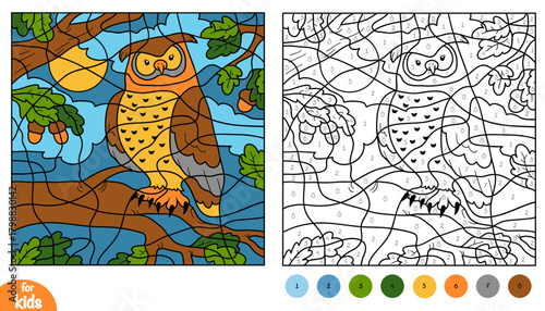 Cute owl on forest background color by number page for kids. Educational activity game for preschool and kindergarten children. Square picture to learn numbers and colors