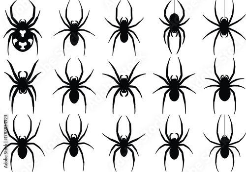 Large Collection of Spider Silhouettes and Icons, Featuring Various Tarantula and Black Widow Shapes for Halloween, Horror, and Insect Design Vector Set