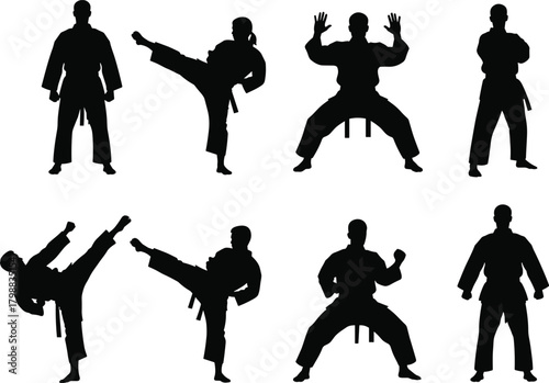 Karate and Martial Arts Silhouette Set Featuring Men and Women in Fighting, Kicking, and Stance Poses for Sport and Fitness Design Vector