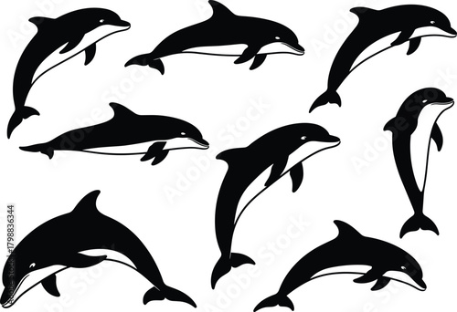 Vector collection of playful dolphin silhouettes swimming and jumping in various dynamic marine poses isolated on a white background