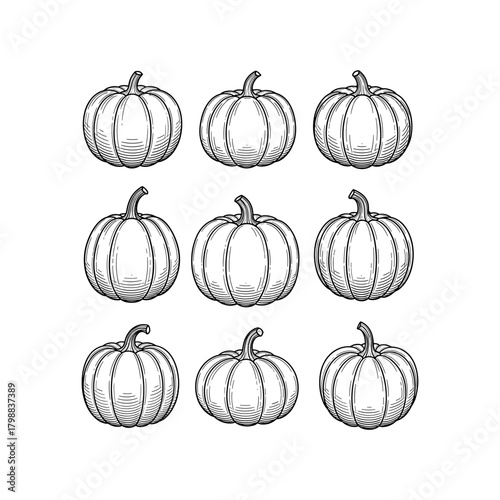 Hand-Drawn Line Art Pumpkins Collection for Autumn and Halloween