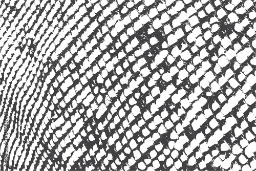 Close Up Small Snake Skin Texture Pattern