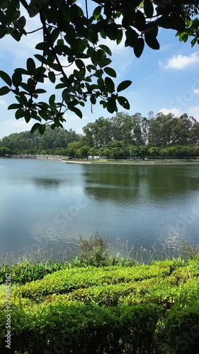 A serene 4K lake scene with calm water and natural reflections. Perfect for travel videos, nature projects, scenic backgrounds, and peaceful landscape footage.