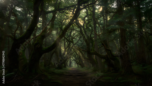 view of a dense mixed forest