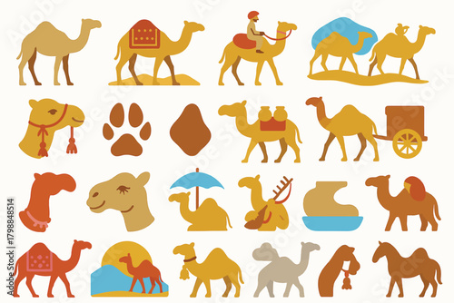 Camels Rajasthan India Desert Life Traditional Riding Illustration