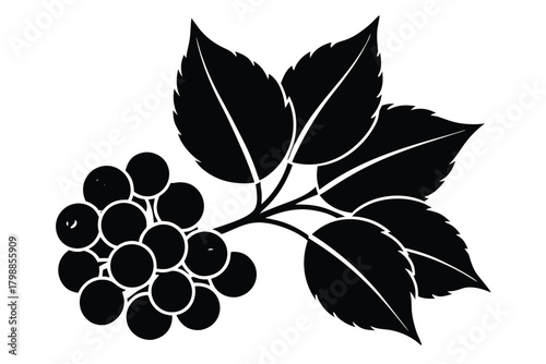 winter berry cluster vector icon  silhouette