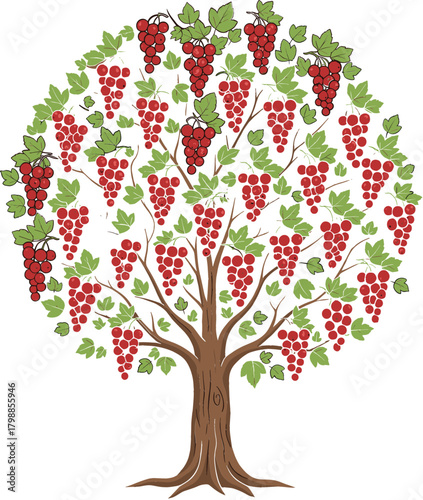 Stylized vector illustration of a lush, round tree heavily laden with bright red grape bunches, symbolizing abundance, vineyard harvest, and the concept of family lineage or ancestry, perfect for labe