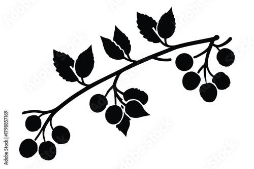 frosted berry branch vector icon silhouette