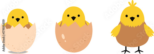 Cute vector set illustrating the hatching process of a baby chick emerging from a cracked egg, symbolizing new life, growth, and development, perfect for Easter celebrations, spring themes, and educat