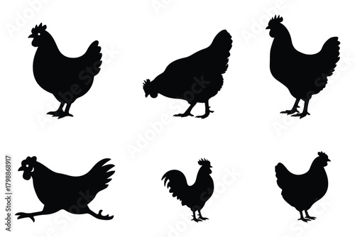 A collection of chicken and rooster silhouettes in different poses for farm and poultry artwork.