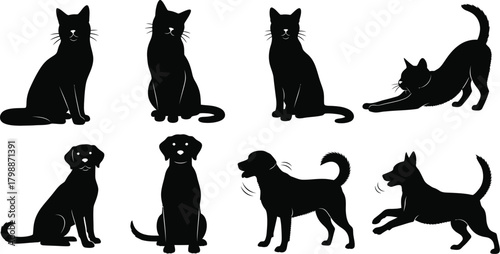 Silhouette of cat and dog poses