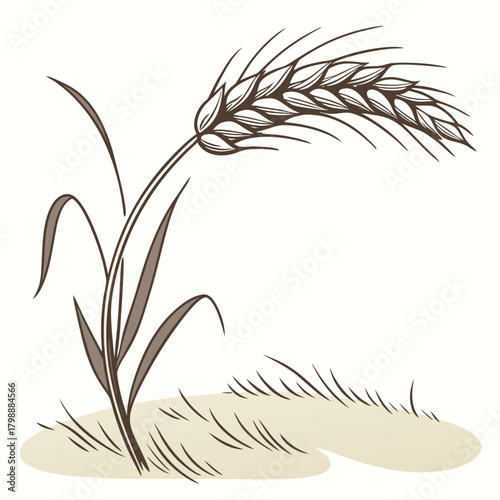 Stylized illustration of a single stalk of wheat with leaves and a patch of ground