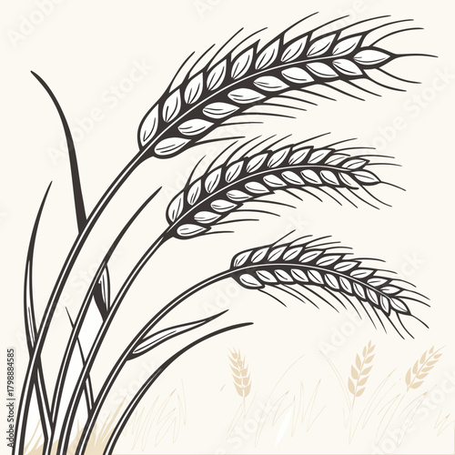 Stylized illustration of three dark wheat stalks with leaves against a light cream background