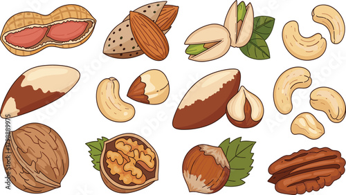 Variety of Nuts Vector Illustration Set, Healthy Food, Almonds, Pistachios, and Walnuts.