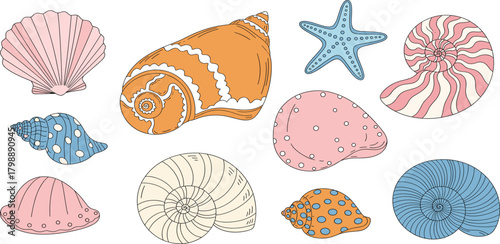 Colorful Seashells and Starfish Vector Set, Summer Beach and Ocean Life Illustration.