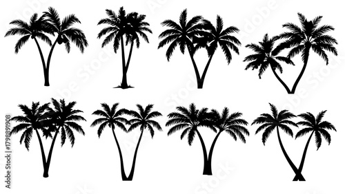 Stylish vector illustration of combined black palm trees. Perfect for tropical, summer, landscape or beach-themed projects!.