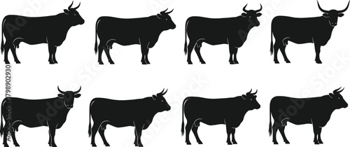 Bull silhouette vector, black livestock icons, horned animal graphics, standing posture clipart, farm species illustration, cattle design set, rural element