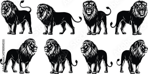 Lion silhouette vector, majestic animal poses, black and white lion graphics, wild cat illustration, mane detail clipart, predator icon set