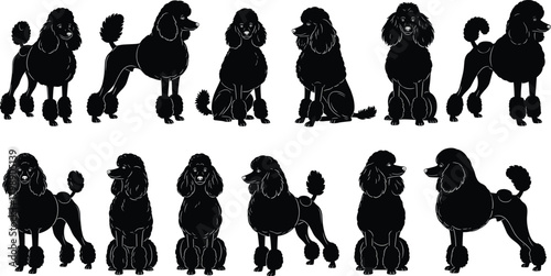 Poodle silhouette vector, black dog icons, standing and sitting pet graphics, grooming style clipart, breed posture illustration, animal design set