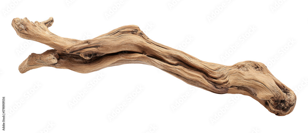 Obraz premium Driftwood with smooth flowing curves and natural wood texture, isolated on transparent background