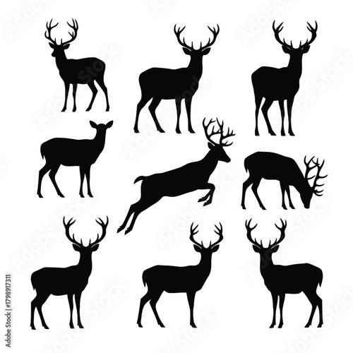 Vector illustration of collection of deer silhouettes