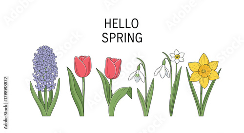 Greeting the season of renewal with a vibrant display of blooming flowers.