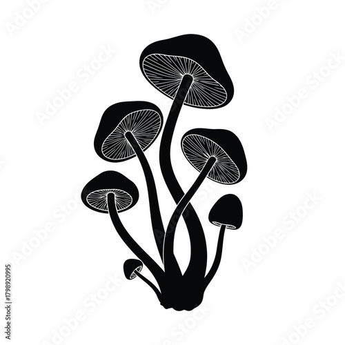 Vector illustration of black silhouette of a cluster of mushrooms