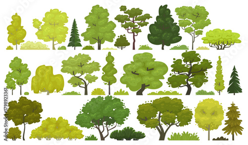 Set of various trees and shrubs, conifers and deciduous plants on a white background. Vector illustration