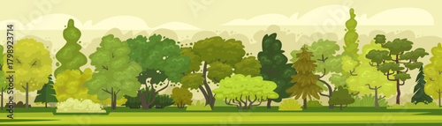 Forest panorama. Landscape with coniferous and deciduous trees and shrubs, a large lawn. Vector illustration