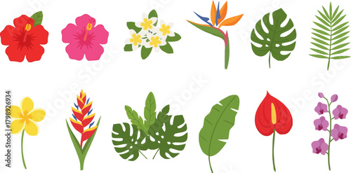 Flat Design Tropical Exotic Flower Collection
