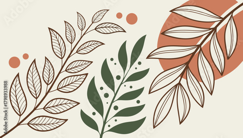 Botanical illustration of leaves and branches isolated on