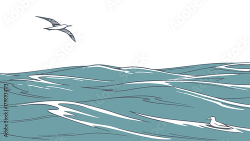 Seascape ocean view with seagulls flying drawing illustration vector art graphic design nature scene artwork