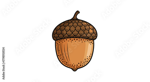 A single ripe acorn stands against a white background with intricate texture details.