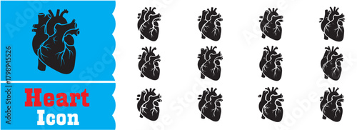 Set of Human anatomical Heart Icon, Human anatomical Heart Vector Collection