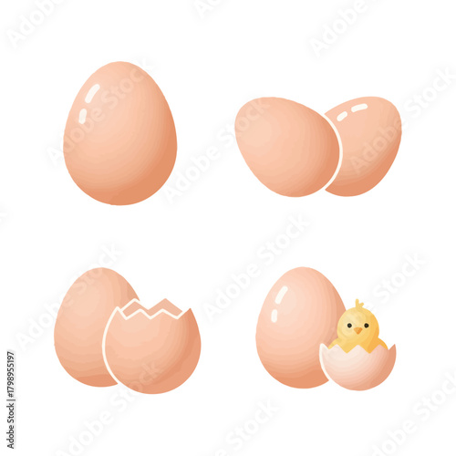 Realistic Egg and Half-Cracked Egg with Visible Yolk