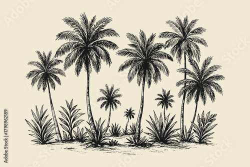 Tropical palm trees landscape vintage sketch vector for travel posters, beach decor, and summer design themes