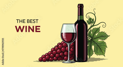 The best wine for every occasion and how to choose it.