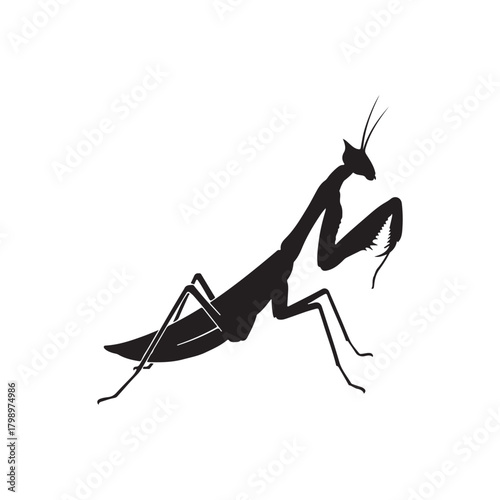 Praying mantis silhouette vector flat illustration design on white background