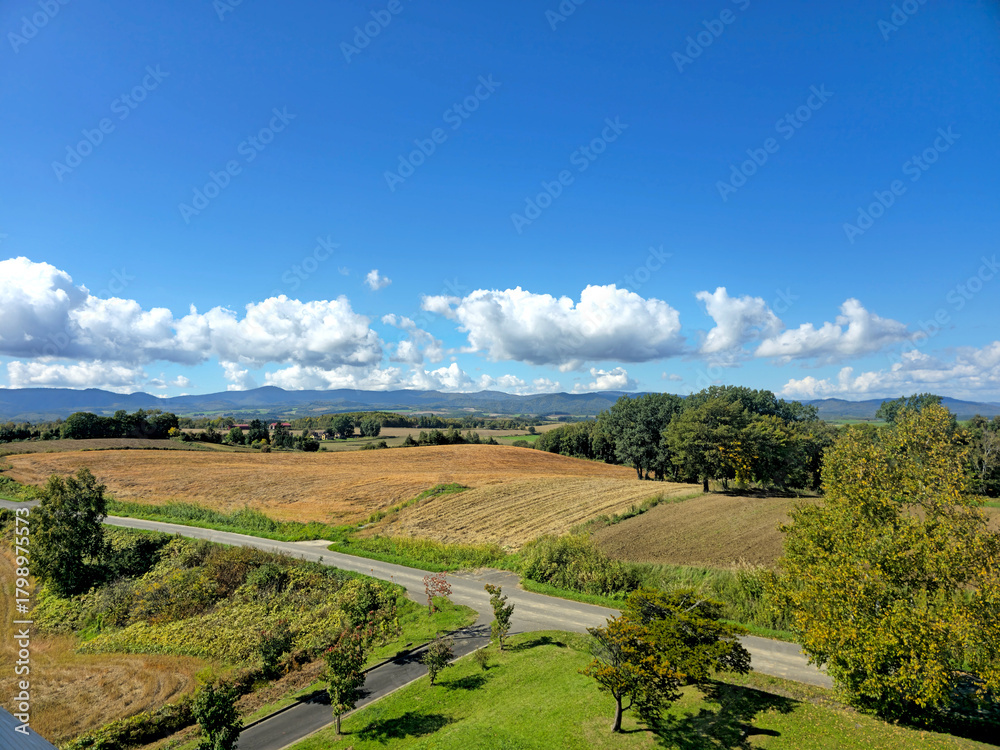 Fototapeta premium The image captures a serene vista of rolling hills, verdant fields, and a majestic mountain peak, all bathed in sunlight
