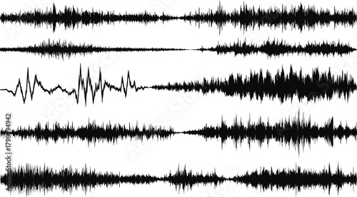 Collection of five distinct black sound waveforms on a white background representing audio signals