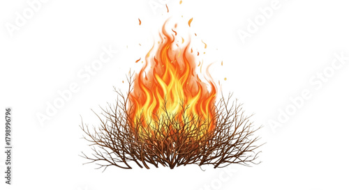 Flames in dry bushes