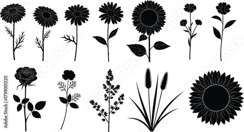 Collection of elegant floral silhouettes including daisies, roses, sunflowers, wildflowers, and botanical plants for decorative design, nature artwork, and illustration projects