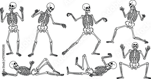 Collection of dancing skeleton illustrations in various playful poses, humorous spooky characters perfect for Halloween design, anatomy art, and creative decoration projects