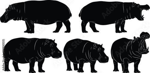 Collection of black hippo silhouettes showing different poses, wildlife animal illustrations perfect for zoo design, nature graphics, education and safari artwork